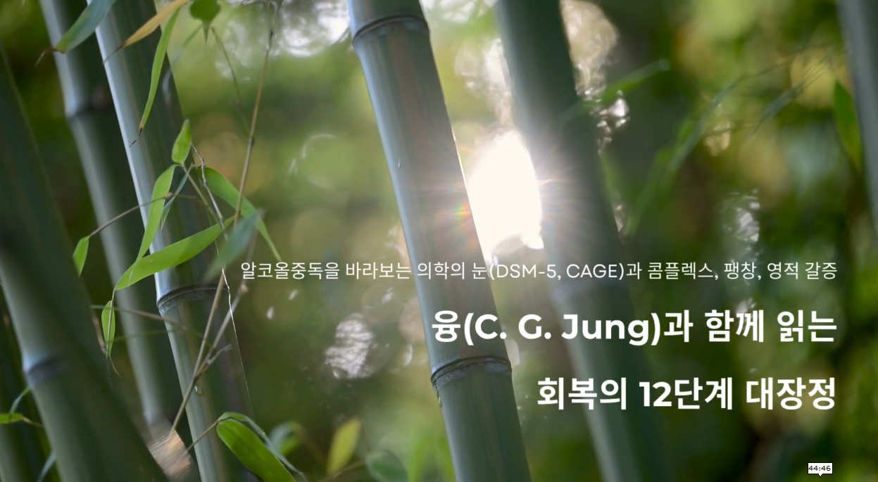 4부 융(C. G. Jung)과 함께 읽는 회복의 12단계 대장정