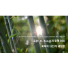 4부 융(C. G. Jung)과 함께 읽는 회복의 12단계 대장정